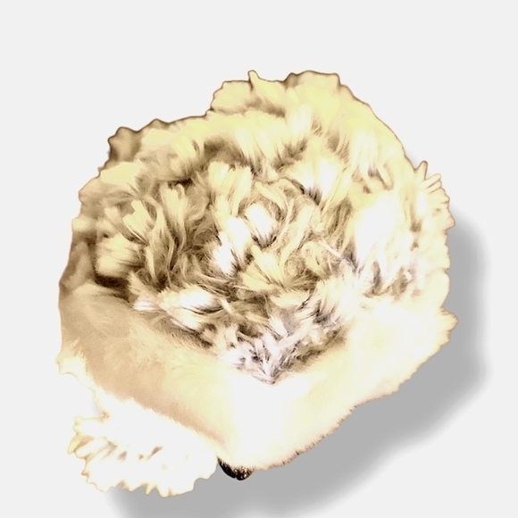 Ty Beanie Boos 6" Owlette the Grey Owl Beanie Baby - Picture 4 of 4